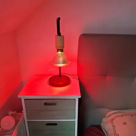 Maison Savoyarde Frühstückspension Attignat-Oncin